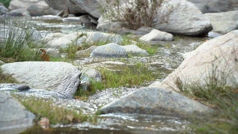 Crystal clear water flowing between old stones, natural valley in spring. Stock Footage 99870371