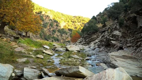 Crystal clear water flowing between old stones, natural valley in spring. Video stock 99872722