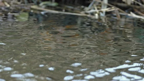 Crystal clear water flowing. Stock Footage 120924099