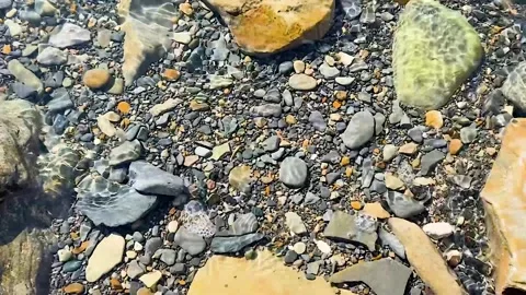 Crystal clear water flowing over colorful river stones Stock Footage 330175911