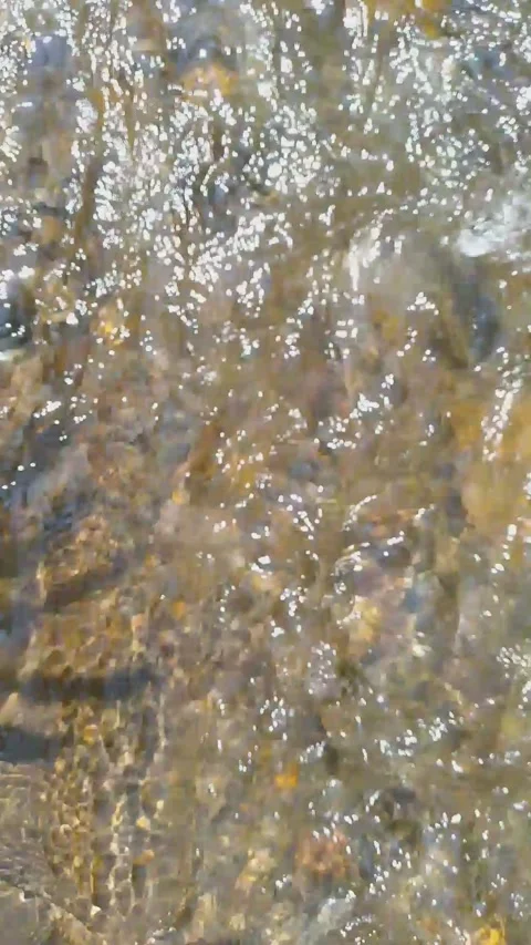 Crystal Clear Water Flowing Over Pebbles Close Up 4K Stock-Footage 341909603
