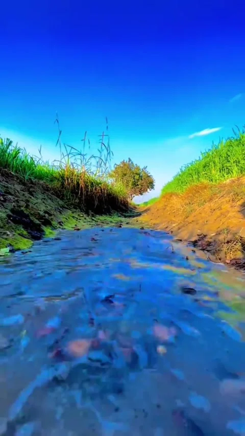 Crystal Clear Water Flowing in Small Rural Stream Vídeos de archivo 332170653