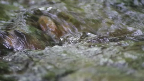 Crystal clear water flows over colorful stones. Stock Footage 137289703