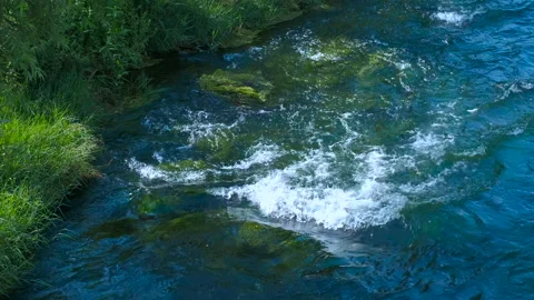 Crystal-clear water flows in a pristine stream Stock Footage 311064058