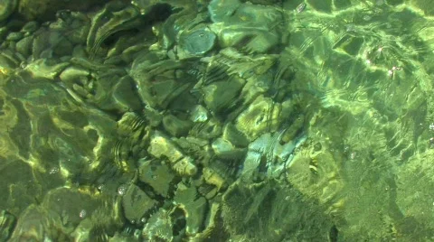 Crystal Clear Water Vídeo Stock 448230