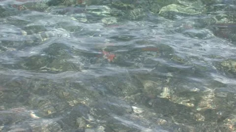Crystal clear water Stock Footage 11029920