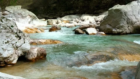 Crystal clear water in a forest river Stock Footage 270062249