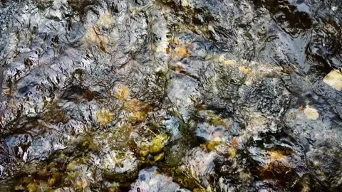 Crystal clear water gently cascading over rocky riverbed, creating mesmerizing Stock Footage 307852907