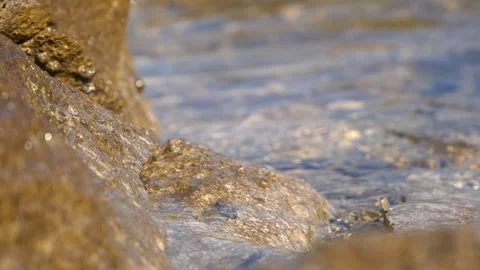 Crystal clear water gently flows over wet rocks near shore Stock Footage 337405274