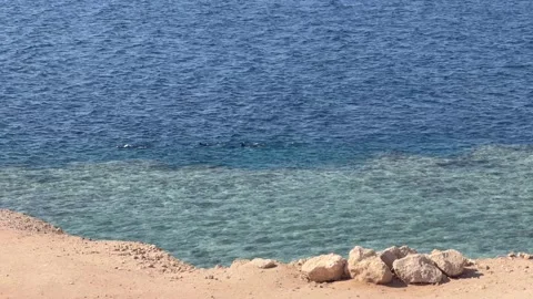 Crystal clear water gently lapping against sandy shore in red sea Stock-Footage 314279622