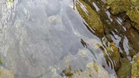 Crystal clear water in mountain stream 4 times slow motion Stock Footage 91499152
