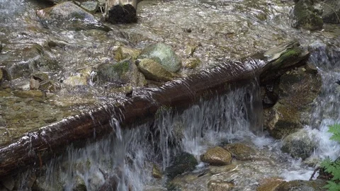 Crystal clear water in a mountain stream Stock Footage 112277216