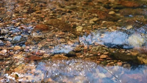 Crystal clear water in a mountain stream with sound Stock Footage 160755316