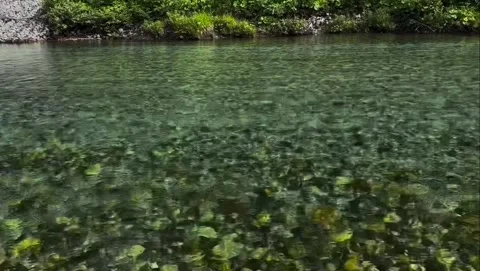 Crystal Clear Water Over Pebbles 库存影片 340868429