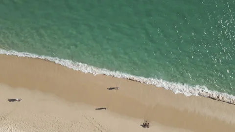Crystal clear water on the Pacific Ocean sand shore Stock Footage 157824747