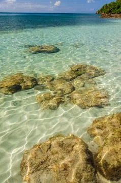 Crystal Clear Water Stock Photos