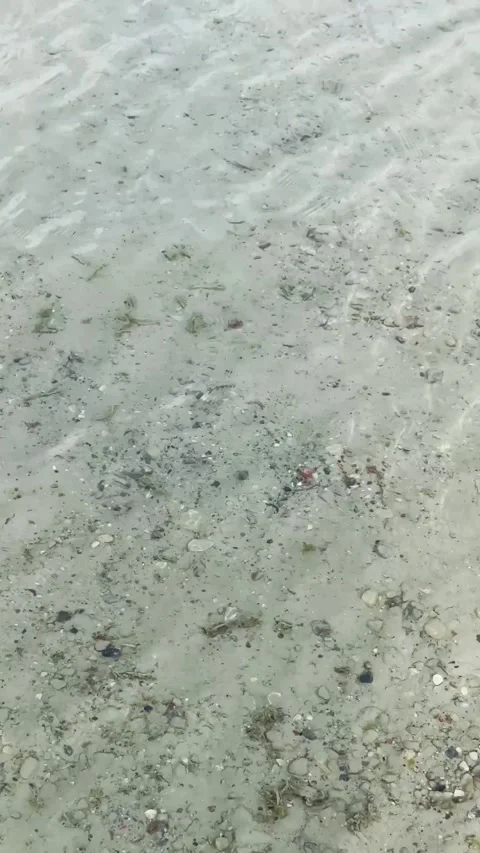 Crystal-clear water in a pristine glacial lake Видео 337577003