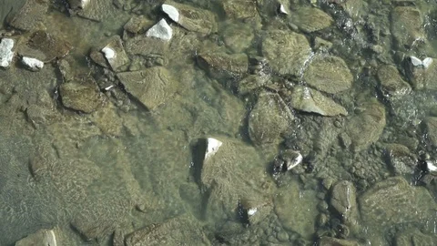 Crystal Clear Water in a River Video stock 120683083