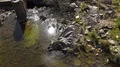 Crystal clear water with rocks and bridge tilt up landscape Mértola 4k or 4k+ Resolution