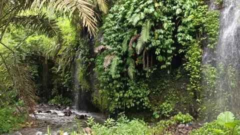 Crystal-Clear Waterfall and River Amidst a Verdant Jungle Stock Footage 300776852