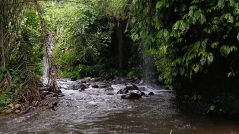 Crystal-Clear Waterfall and River Amidst a Verdant Jungle Stock Footage 300781648