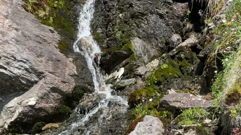Crystal Clear Waterfall Cascading Through Mossy Rocks in the Summer Austria.. Stock Footage 329556617