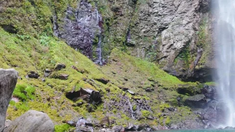 Crystal Clear Waterfall in Remote Japanese Forest Stock Footage 336668956