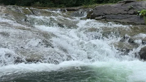 Crystal clear Waterfall on wild mountain river Stock Footage 316525408