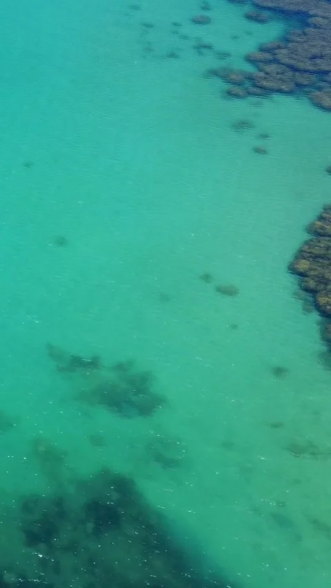 Crystal Clear Waters and Vibrant Underwater Life Captured in Tropical Paradise Stock Footage 311111874