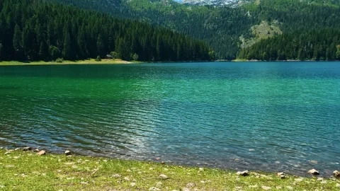 Crystal-clear waters lap gentle shores. Black Lake, Montenegro 库存影片 342969617