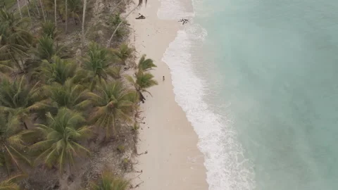 Crystal Clear Waters of Mandel Beach Aerial View in Banggai I D Log M LOG Format Stock Footage 317377230