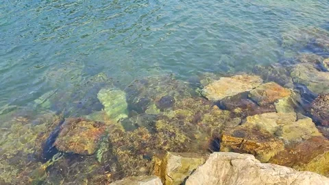 Crystal Clear Waters over Rocky Seabed in Sunlight Stock Footage 244950094
