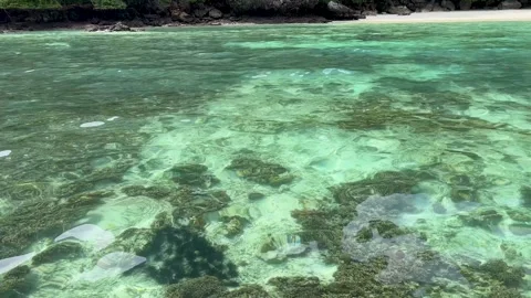 Crystal Clear Waters in Phi Phi Island, Thailand Stock Footage 259854262