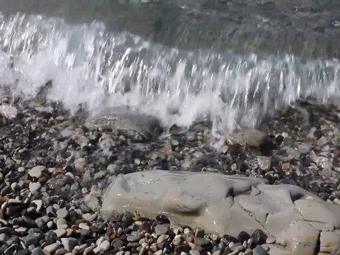 Crystal clear wave on a pebbly beach. Stock Footage 80760190