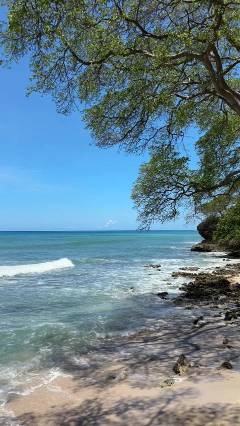 Crystal clear waves rolling onto Caribbean shoreline Stock Footage 335895031