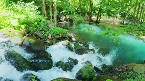 Crystal Emerald Green Stream of Japan (No Audio) Video stock 336522182