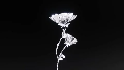 A crystal flower that glitters from the light on a black background Stock Footage 233836643