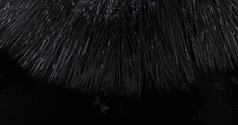 Crystal Stock Footage 174875290