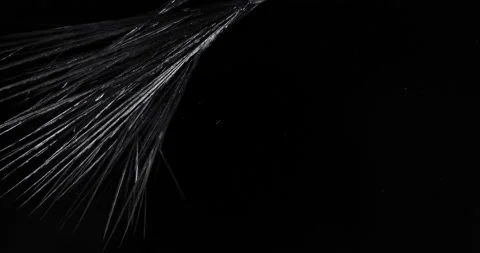 Crystal Vidéo 174897962