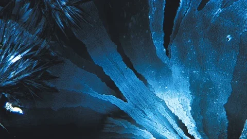 Crystal freezing magnification under Microscope timelapse. 스톡 동영상 88729084