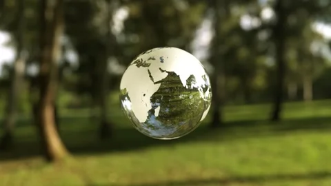 Crystal globe in a forest. Environmental protection concept Stock Footage 260799174