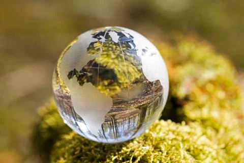 Crystal globe in forest Stock Photos