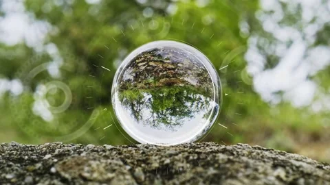 The crystal globe orb rests on the moss in the forest. There was sunlight Stock Footage 290326893