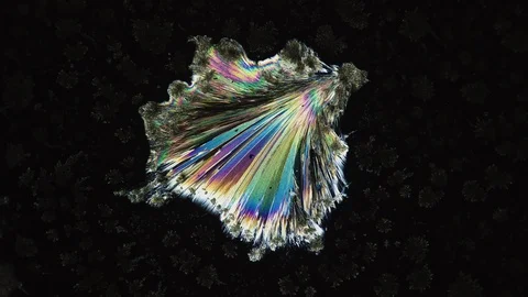 Crystal Growth on black background, Microscope Photography, Time Lapse Stock-Footage 88672843