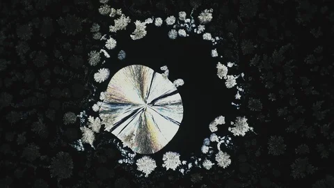 Crystal Growth, Microscope Photography, Time Lapse 스톡 동영상 88672776