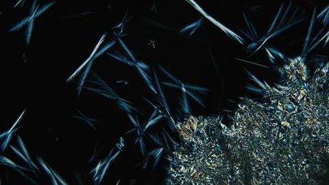 Crystal Growth, Microscope Photography, Time Lapse 库存影片 88677999
