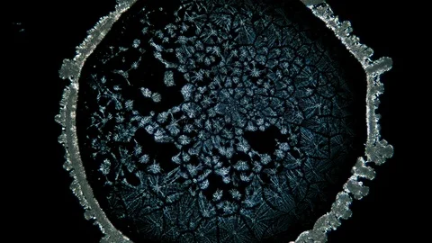Crystal Growth, Microscope Photography, Time Lapse Stockbeeldmateriaal 88711752