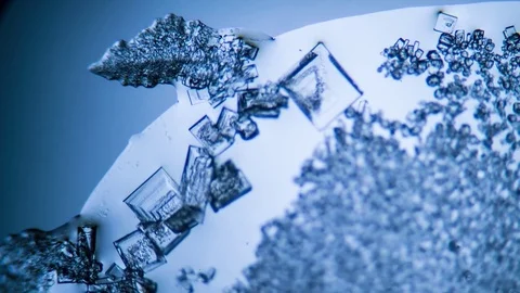 Crystal growth, microscope photography using a microscope Stock Footage 74536427