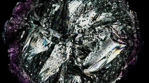 Crystal Growth under Microscope timelapse Stock-Footage 88711711