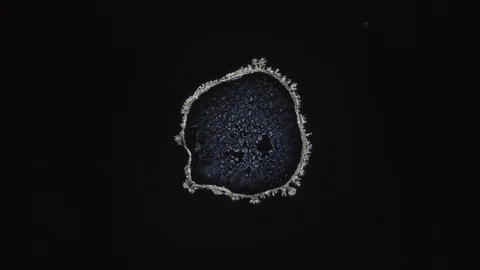 Crystal Growth under Microscope timelapse Stock-Footage 88712142